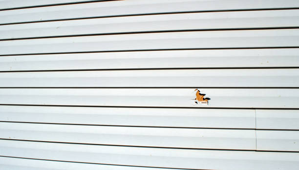 Best Brick Veneer Siding  in West Baraboo, WI