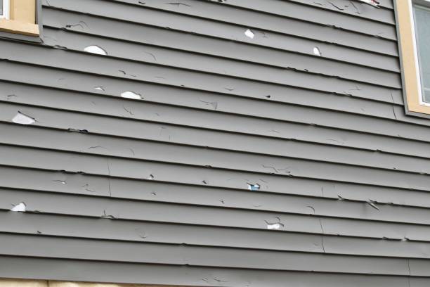 Best Wood Siding Installation  in West Baraboo, WI