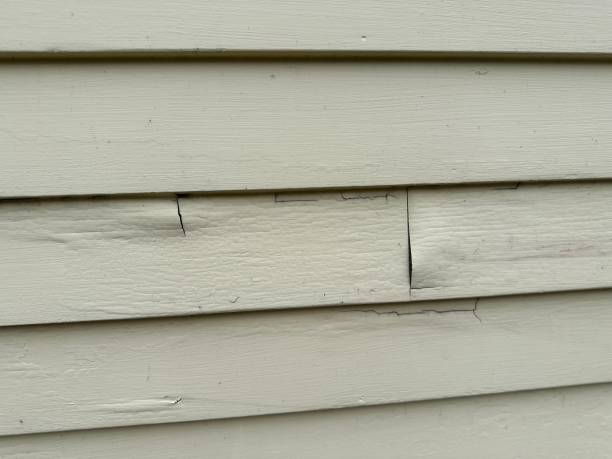 Best Custom Trim and Detailing for Siding  in West Baraboo, WI
